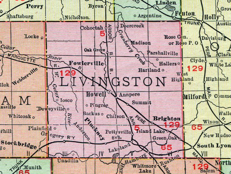 Livingston County, Michigan, 1911, Map, Rand McNally, Howell, Brighton