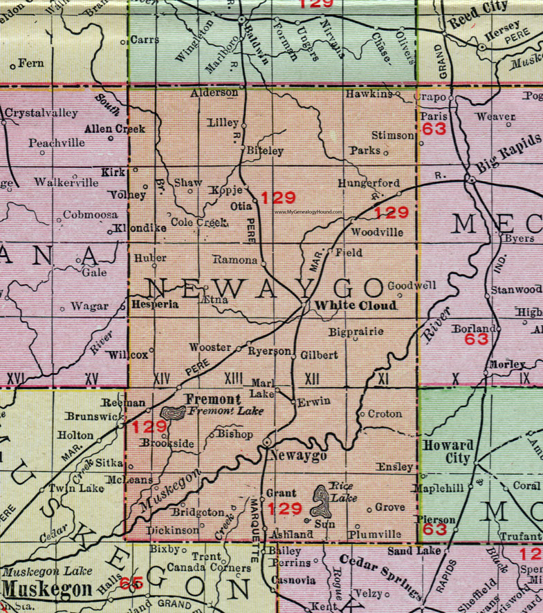 Newaygo County, Michigan, 1911, Map, Rand McNally, Fremont, White Cloud, Grant, Bitely, Wooster, Goodwell, Hungerford, Volney, Ryerson, Sitka, Dickinson, Bridgeton, Croton