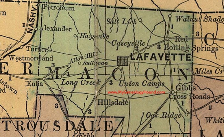 Macon County, Tennessee 1888 Map Lafayette, Red Boiling Springs, Salt Lick, Walnut Shade, Oak Ridge, Sullivan, Eulia, Hillsdale, TN