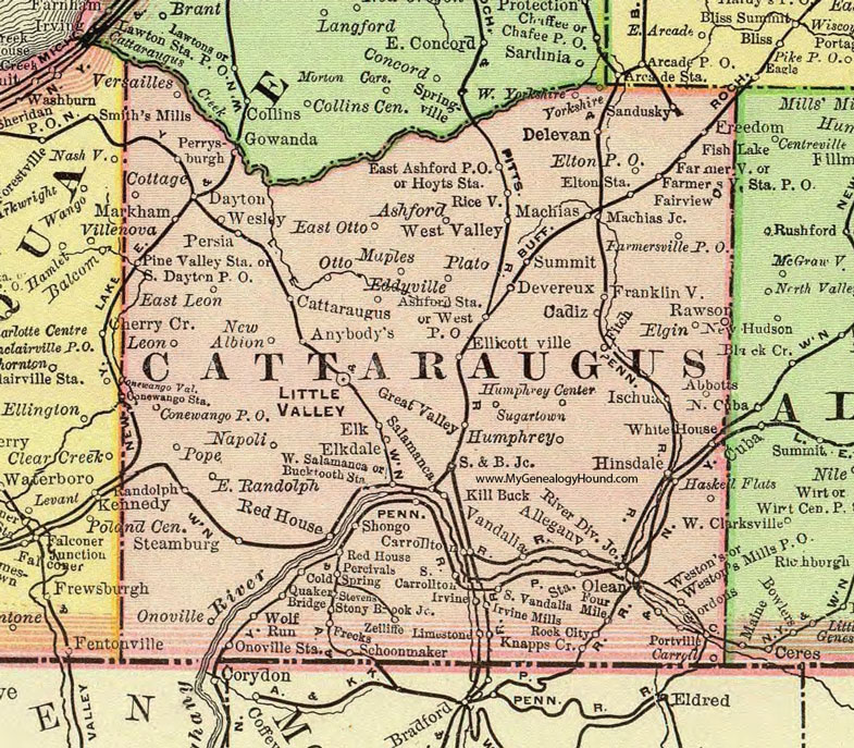 Cattaraugus County New York 1897 Map by Rand McNally Olean Salamanca NY