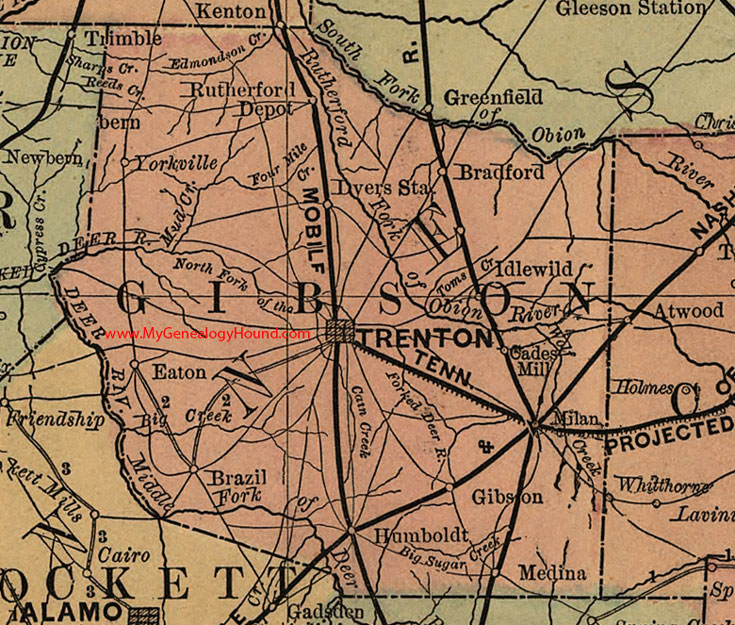 Gibson County, Tennessee 1888 Map Trenton, Humboldt, Milan, Dyer, Rutherford, Medina, Yorkville, Eaton, Gibson, Idlewild, TN