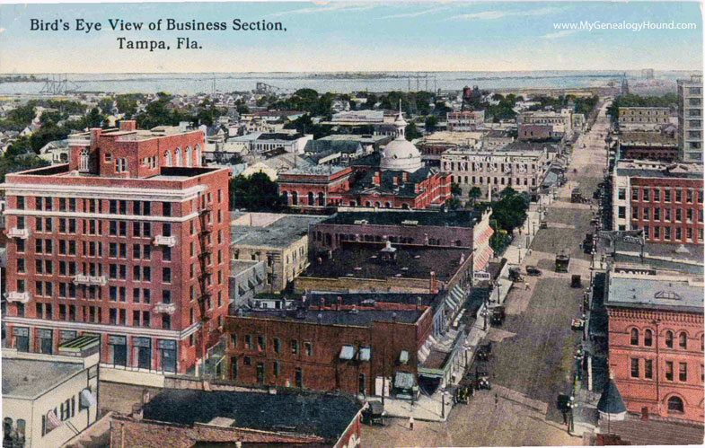 Tampa, Florida, Bird's Eye View of Business Section, vintage postcard photo