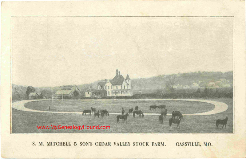 Cassville, Missouri S. M. Mitchell & Son's Cedar Valley Stock Farm vintage postcard, historic photo